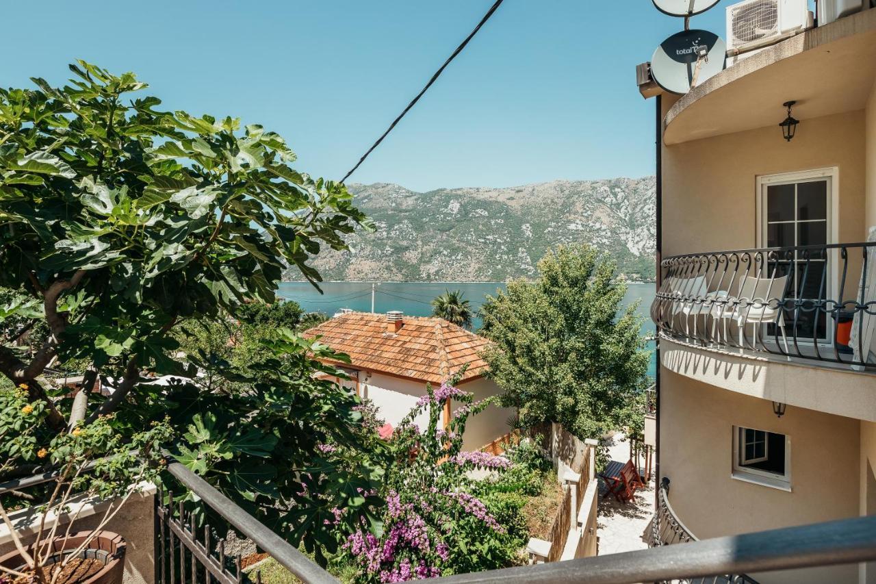 Apartments Cosovic Kotor Exterior foto